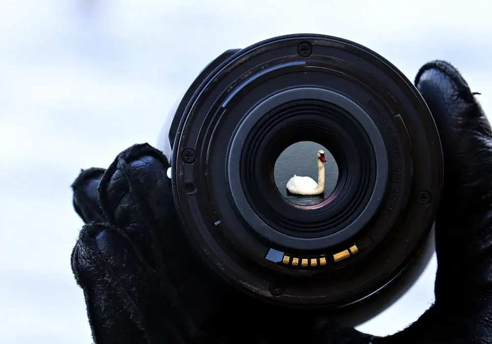 OM System M.Zuiko 50-200 mm F/2.8 IS PRO – uniwersalny superteleobiektyw dla wymagających fotografów