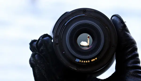 OM System M.Zuiko 50-200 mm F/2.8 IS PRO – uniwersalny superteleobiektyw dla wymagających fotografów